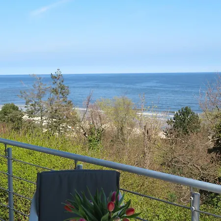 Brise Schering App 02 *