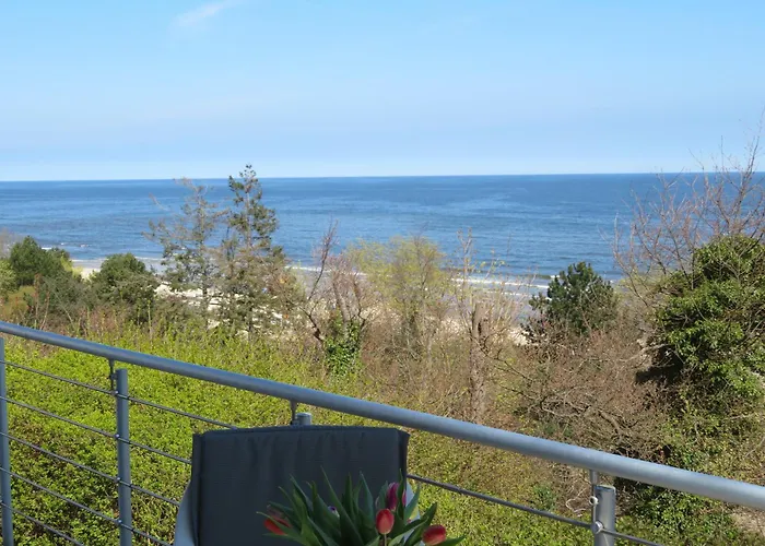 Brise Schering App 02 *